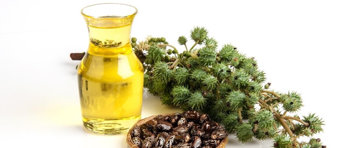Картаюу тери көйгөйлөрү үчүн кастор майы